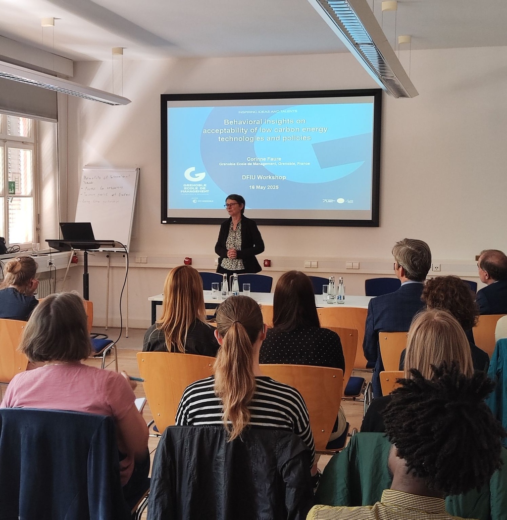 Audience attending a workshop on low-carbon energy technologies and policies at DFIU